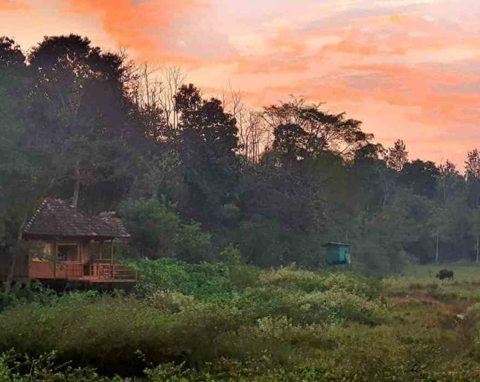 Jungle Retreat Wayanad, Kerala, India